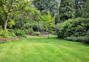 Optimiser l'expérience du jardin à Moiremont